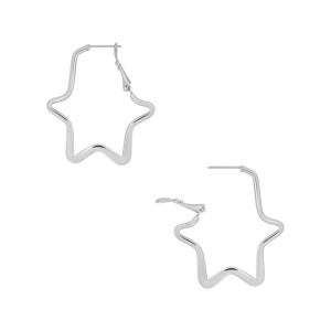 Fire Steel, 316L Stainless Steel Star Earrings